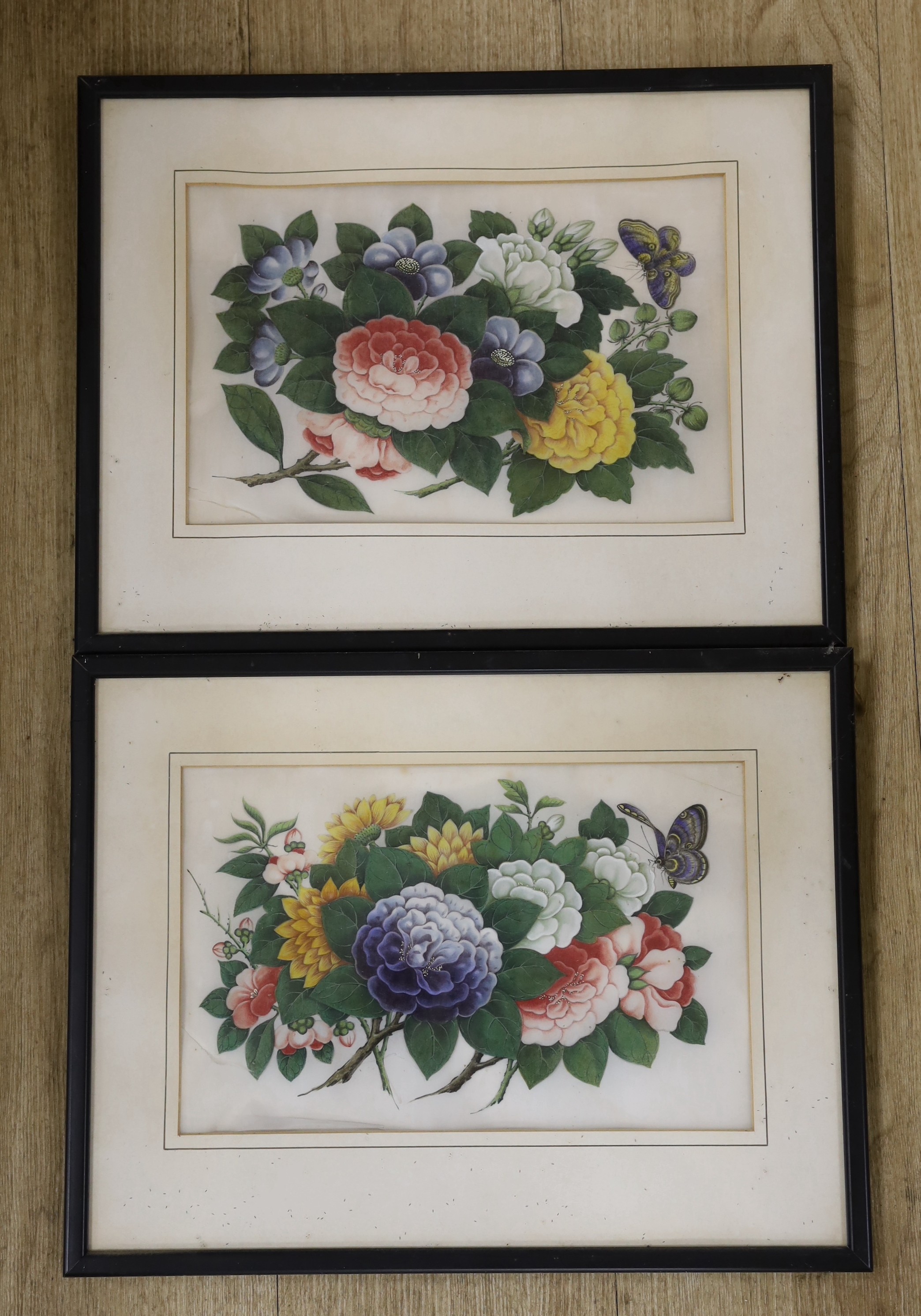 19th Century Chinese School, pair of gouaches on pith paper, studies of butterflies, 19.5 x 30